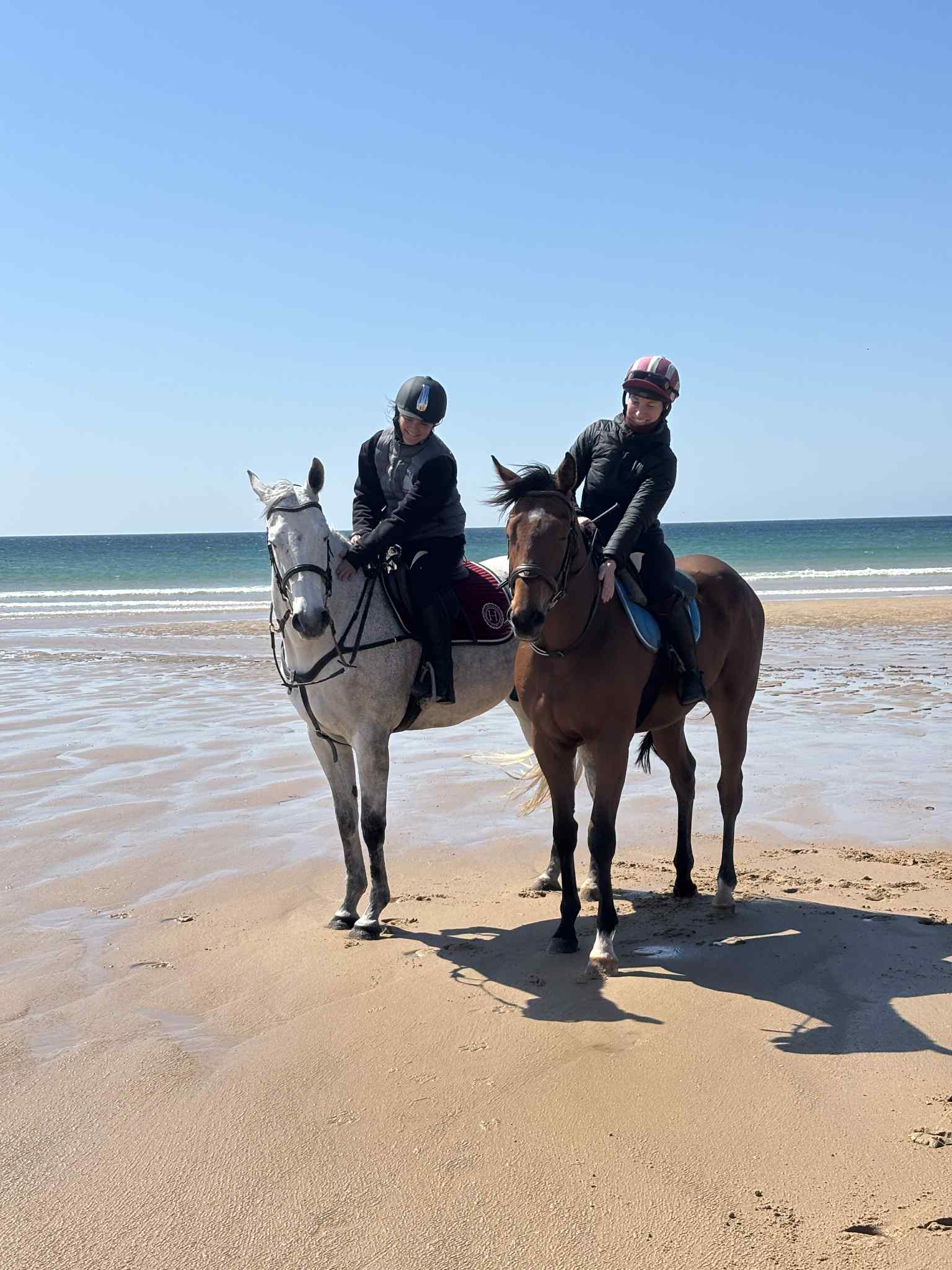 Le programme de réforme
