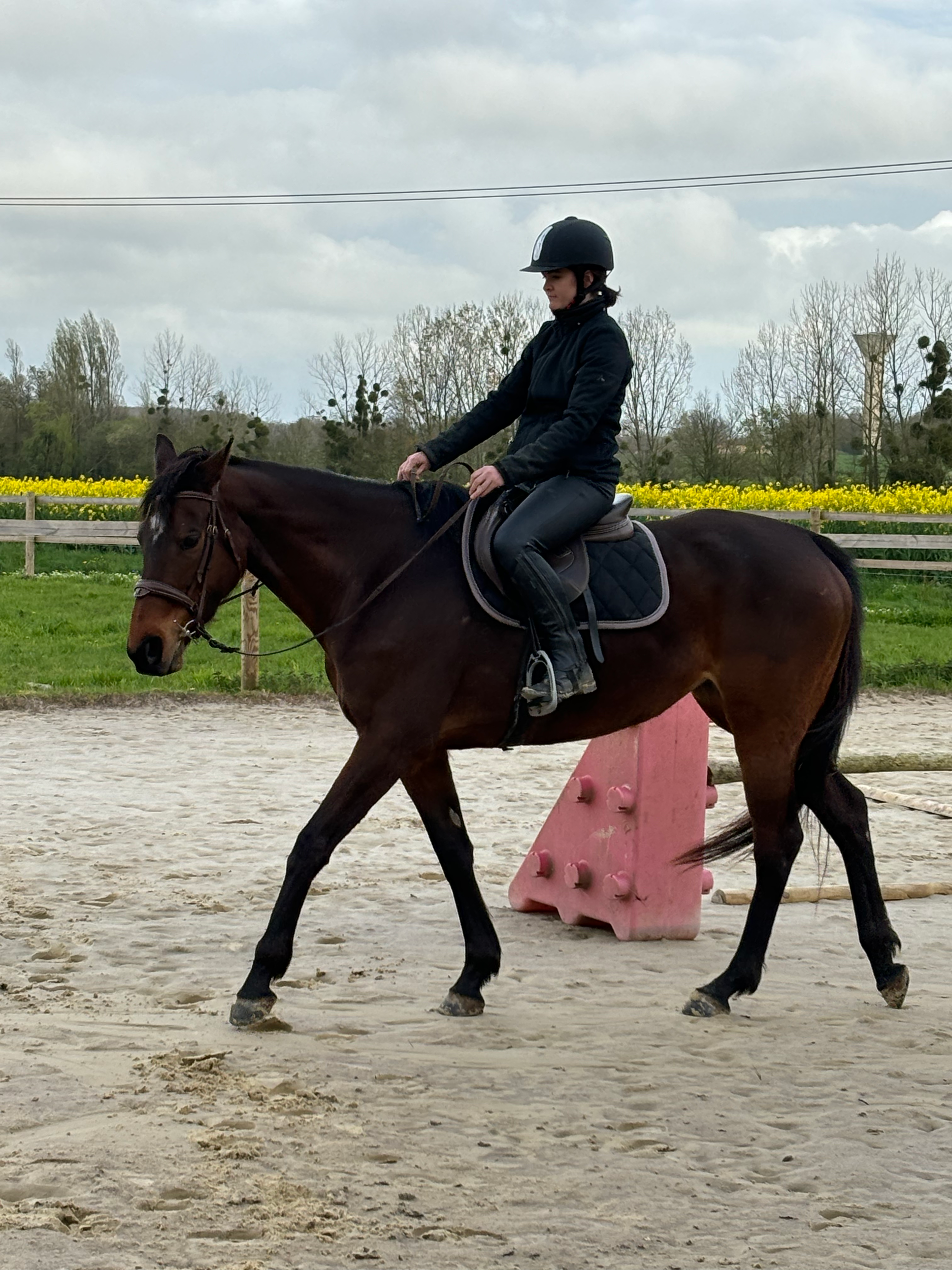 La passion au coeur de la reconversion