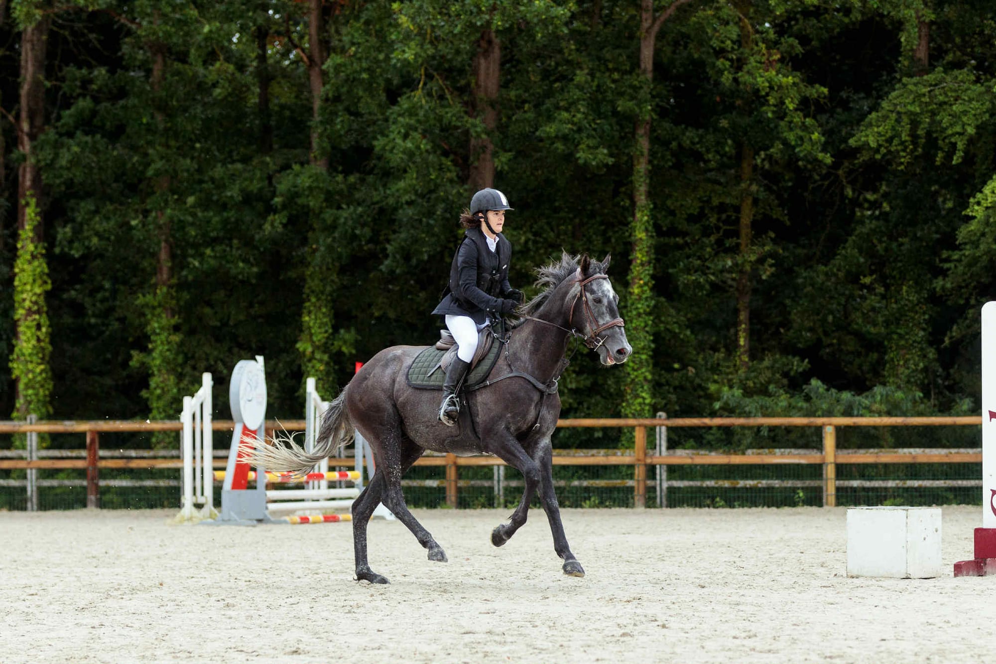 Le programme de réforme