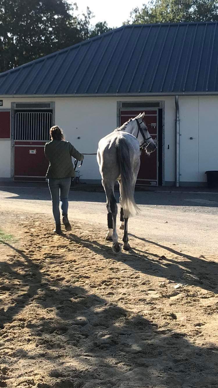 Comment les reformer sans connaitre leur passé ?