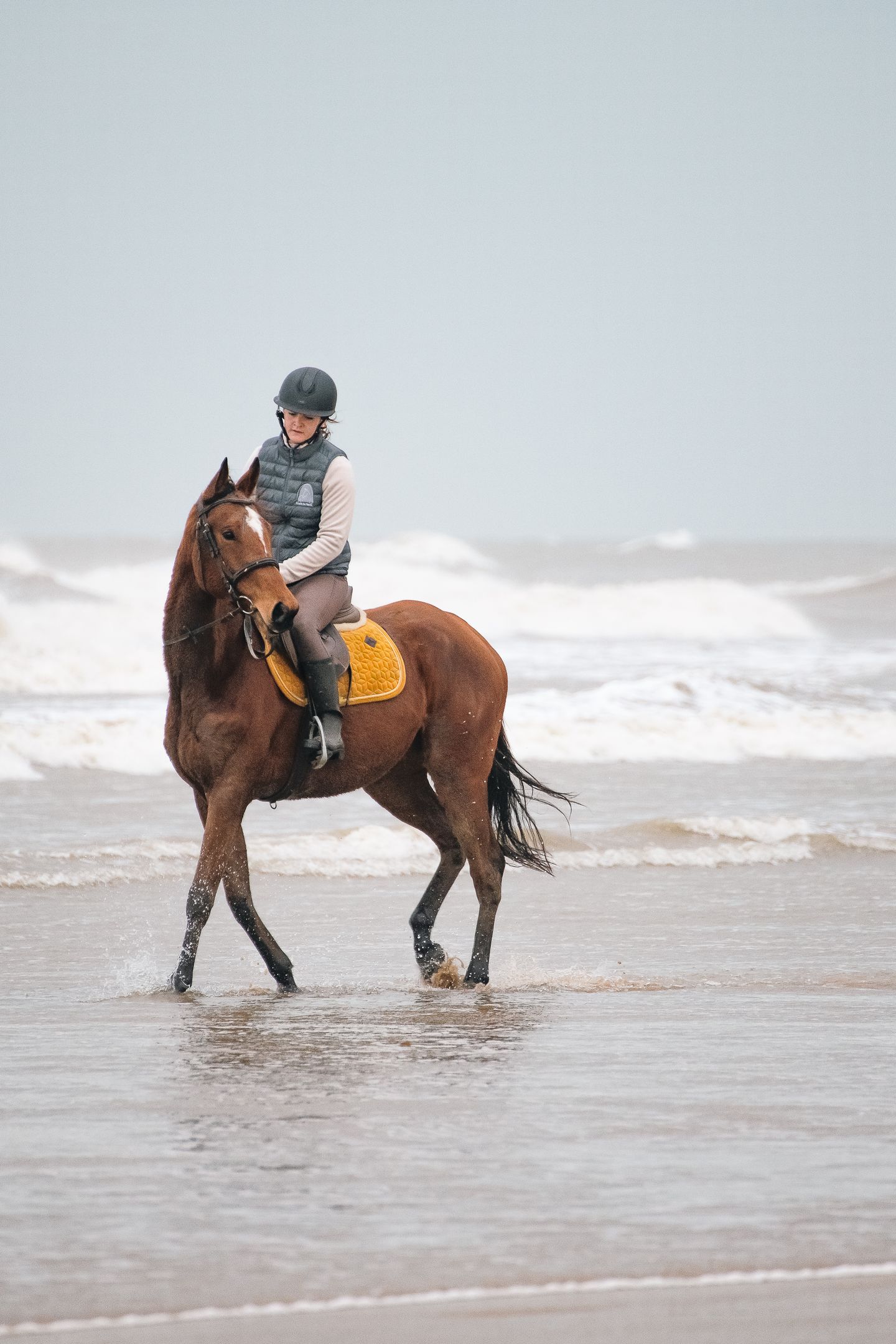 La Triomphante - 3 ans (PS)