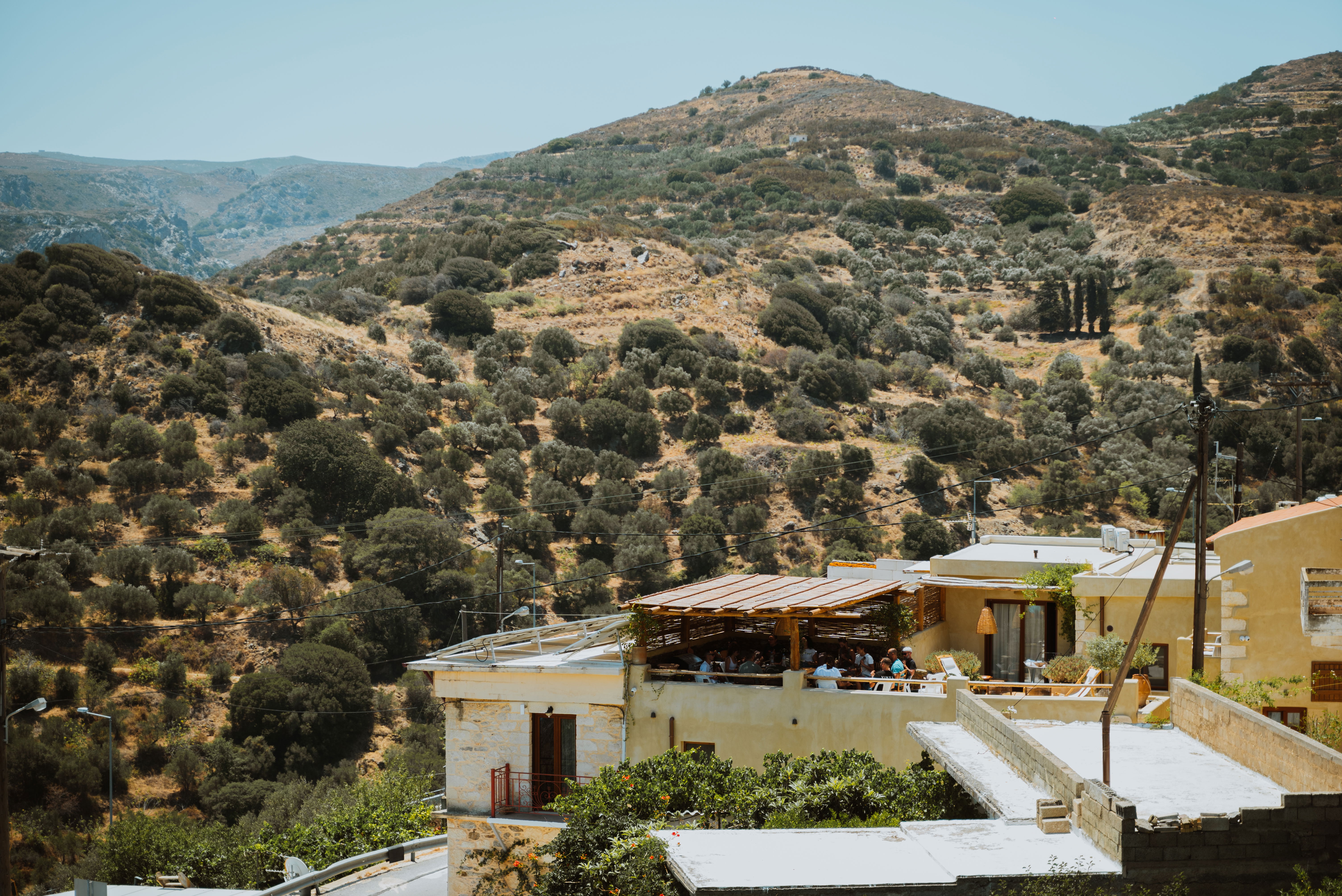 CRETAN LYRA: STUDY IN PRACTICE