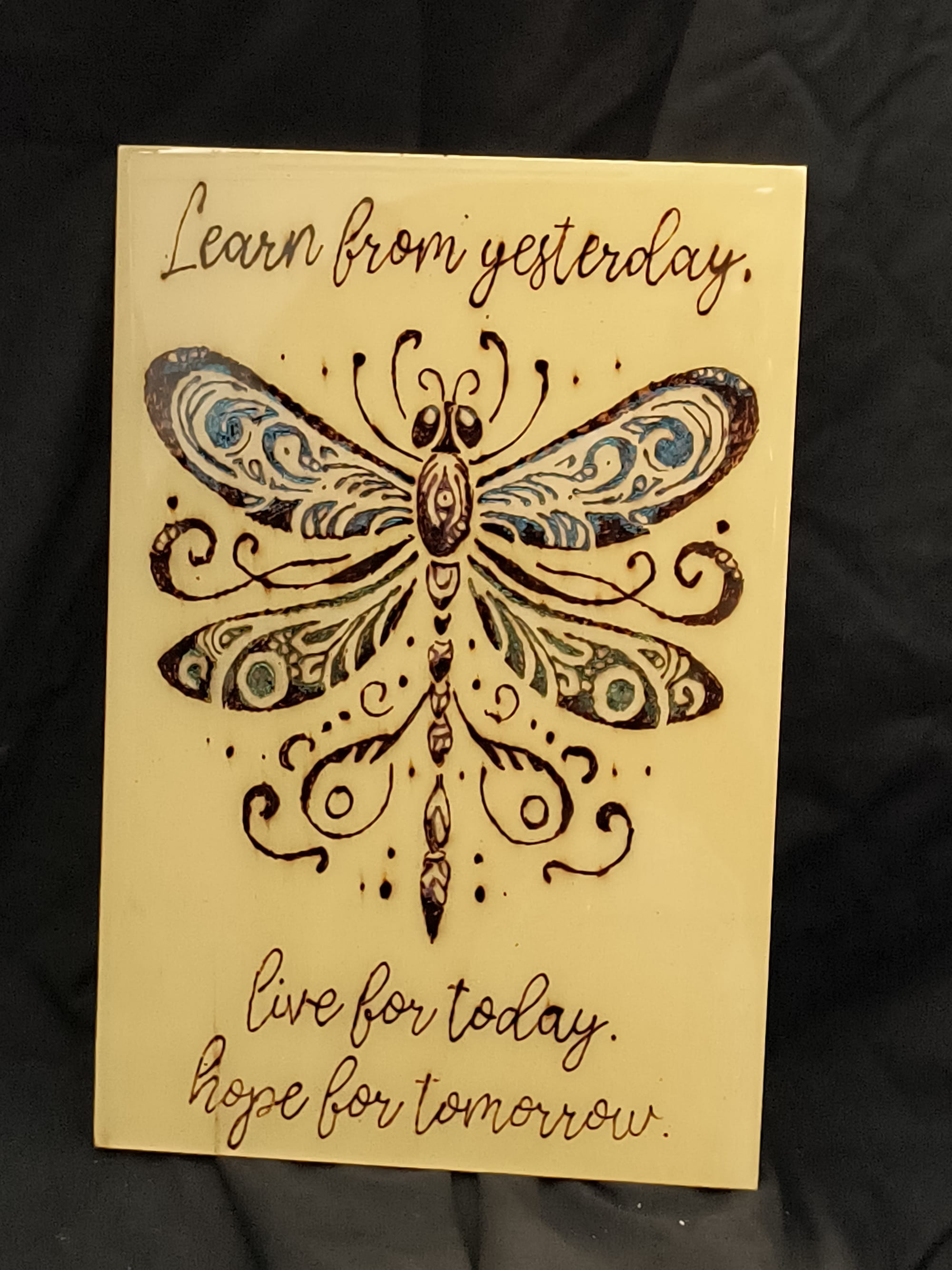 Live Dragonfly ($15)