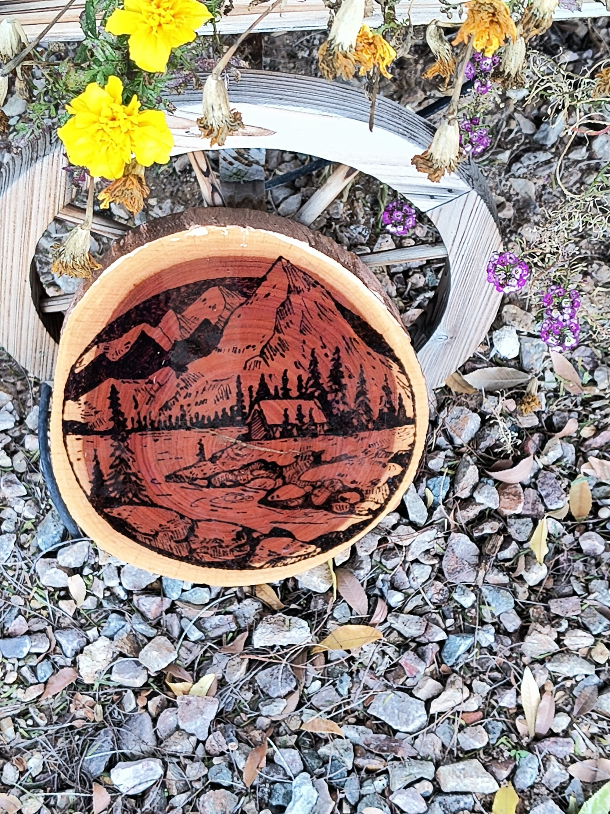 Cabin On The Lake ($30)