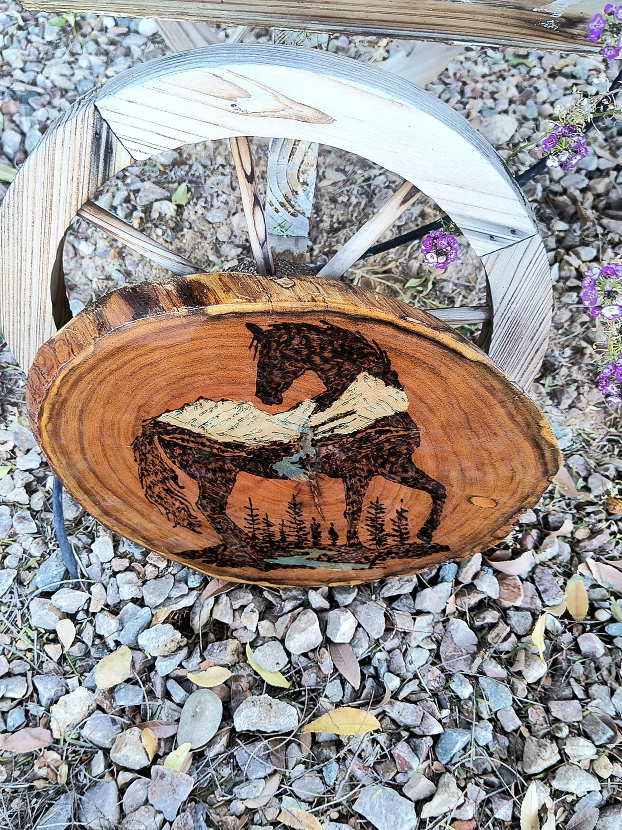 Mountian Horse ($30)