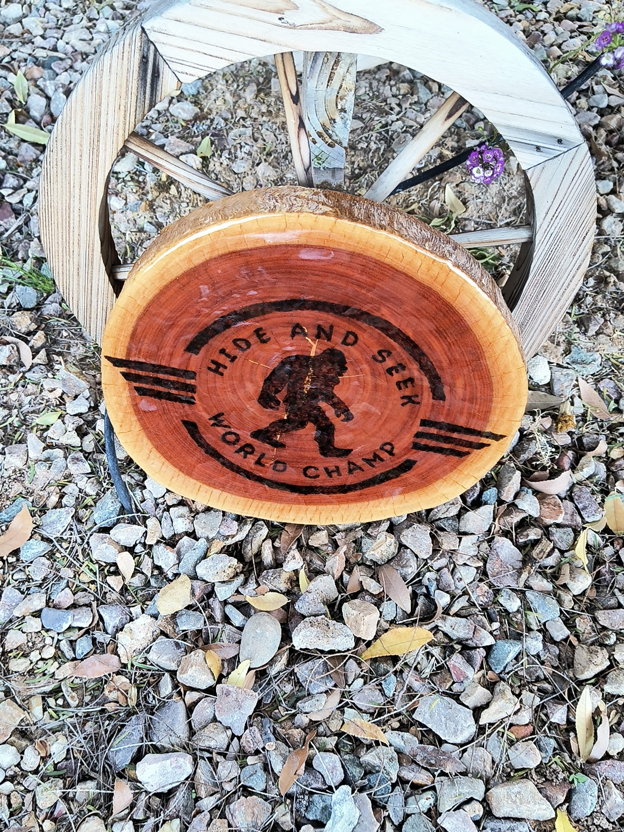 Hide & Seek World Champion ($20)