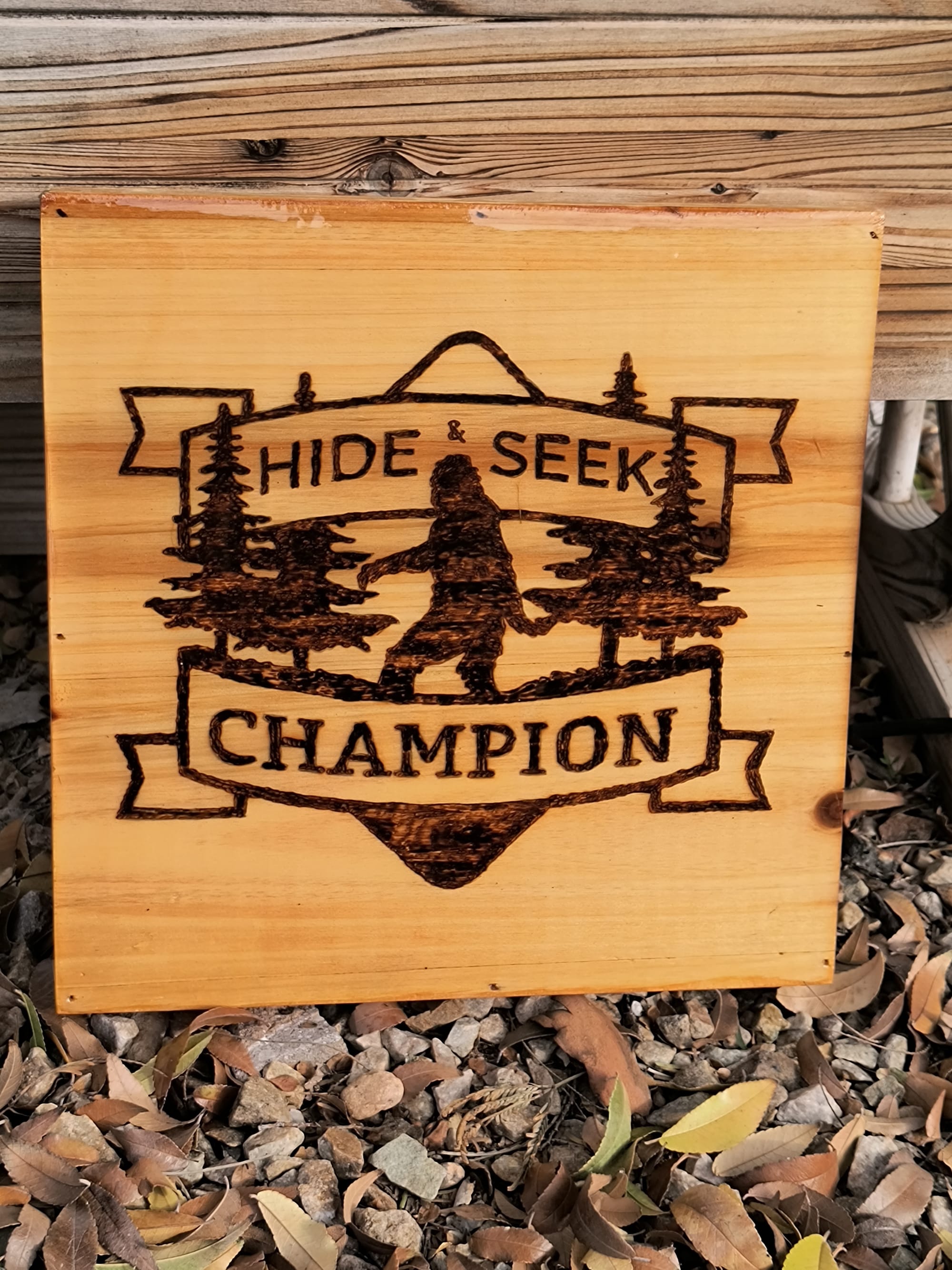 Hide & Seek Champ ($15)