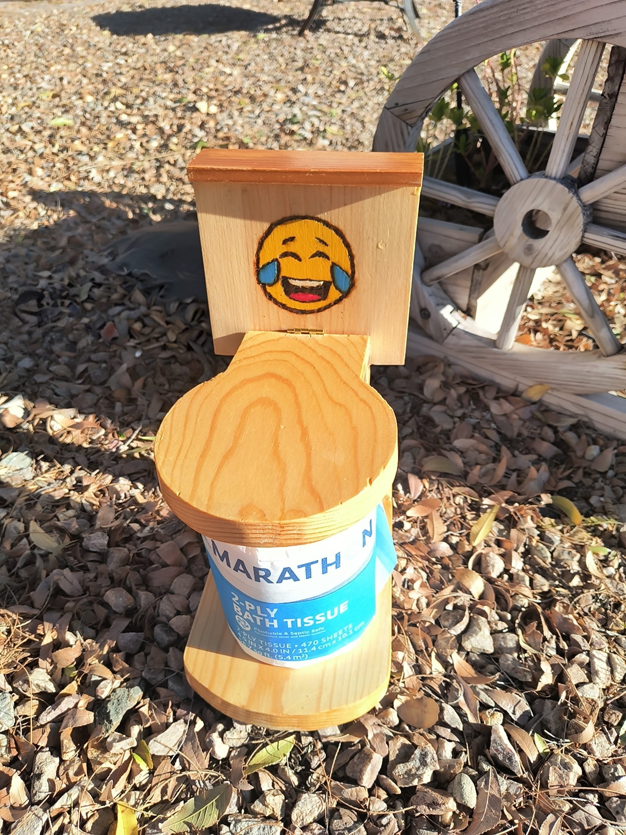 Laughing out loud ($25)