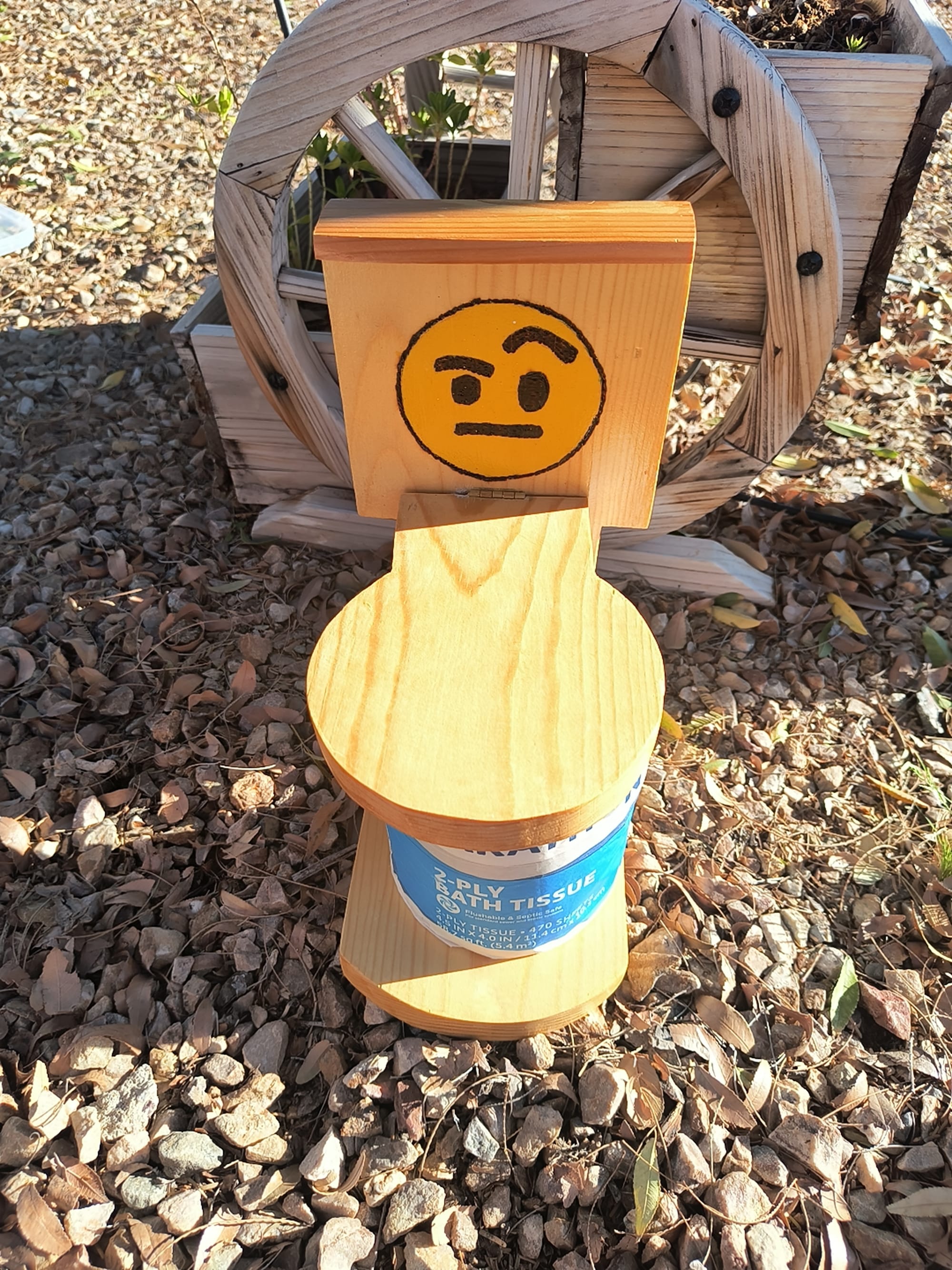 Raised eyebrow ($25)