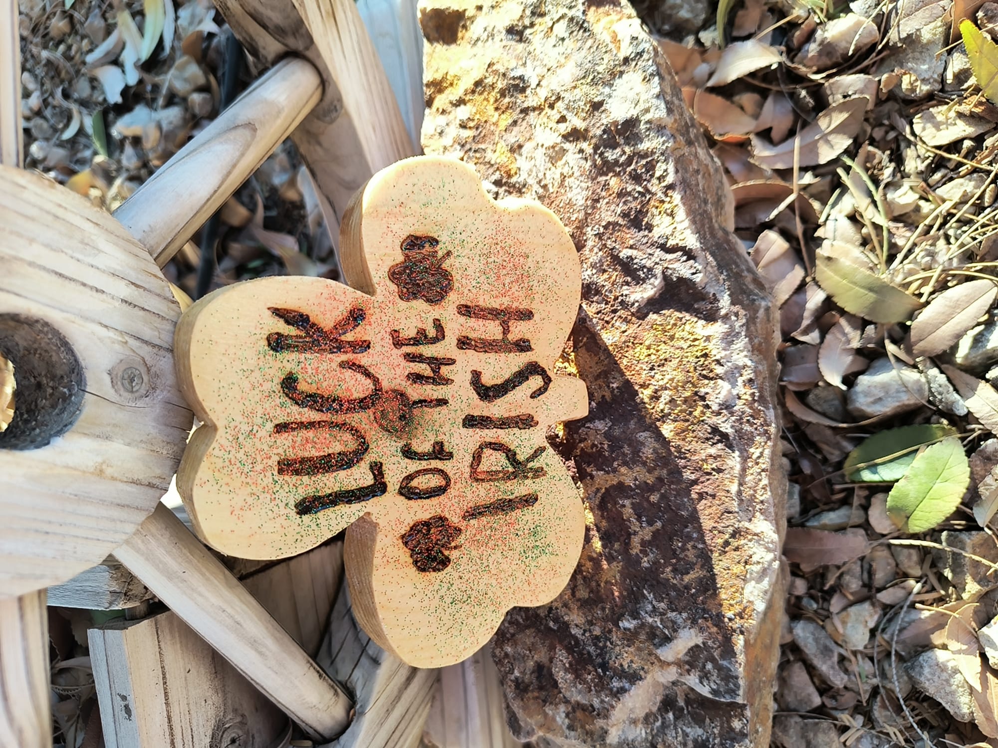 Luck Of The Irish ($10)