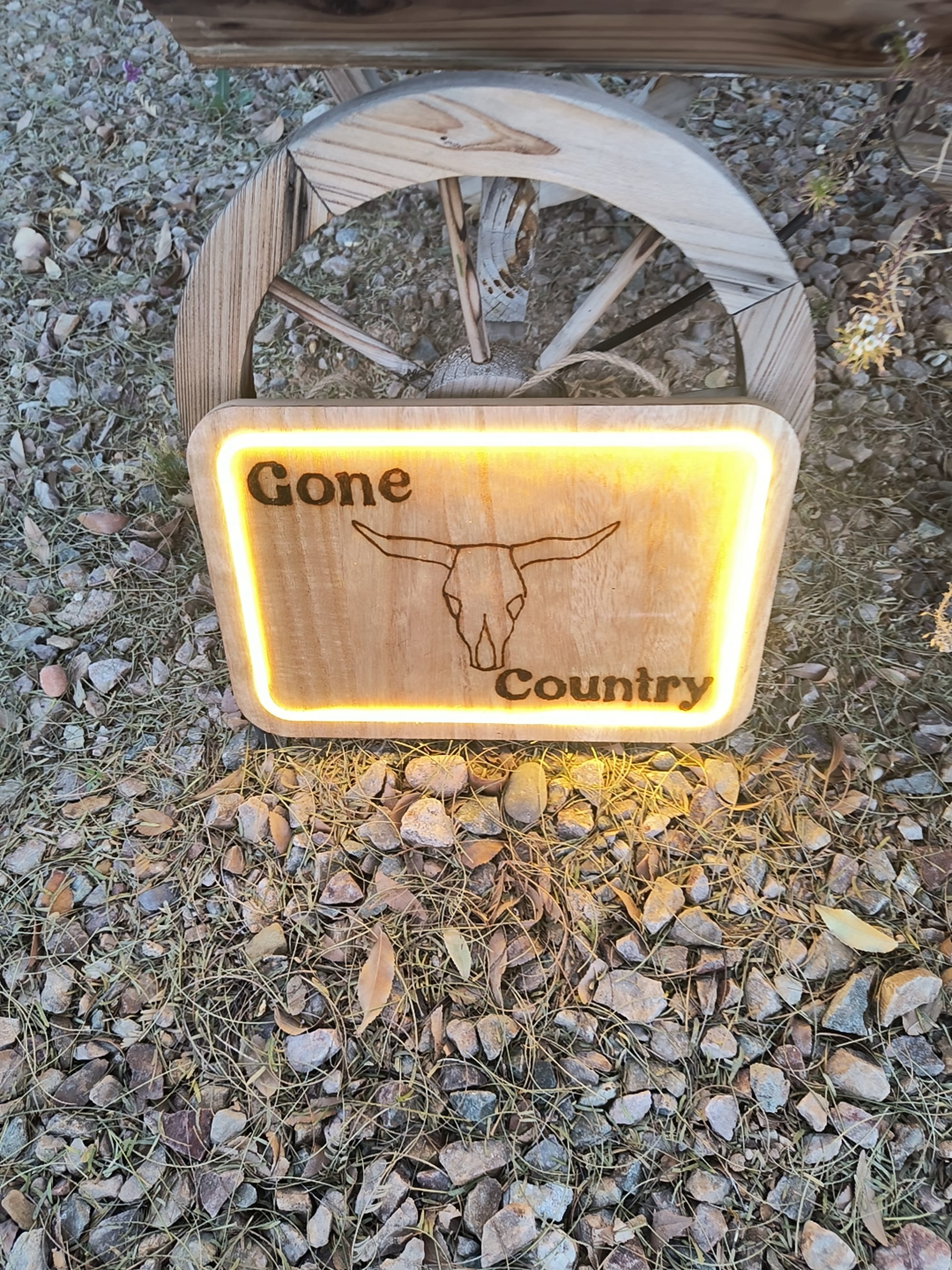 Gone Coutry LED Sign ($30 Battaries Included)