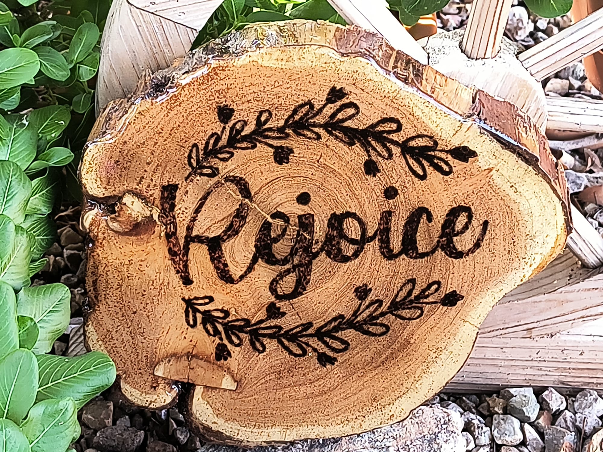 Rejoice ($20)