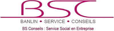 BS Conseils