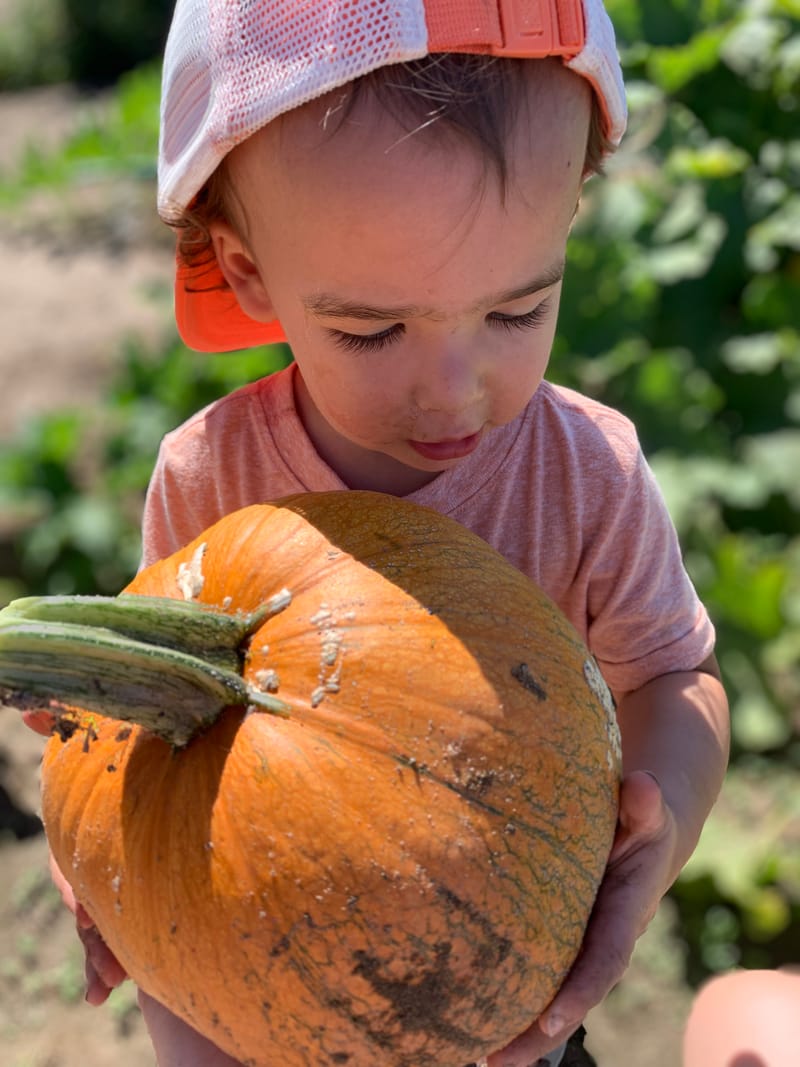 Tiny Farmers HALLOWEEN