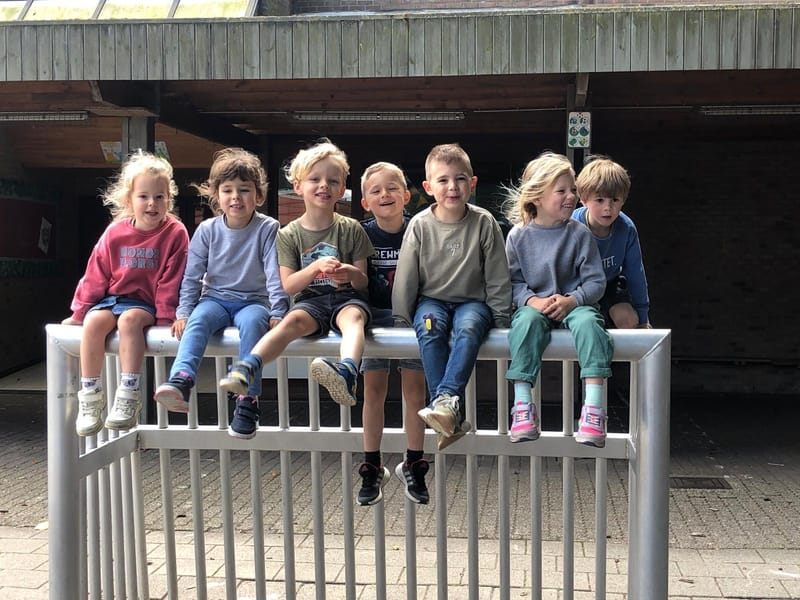 Dierenplezier kamp 1/07/24 - 5/07/24