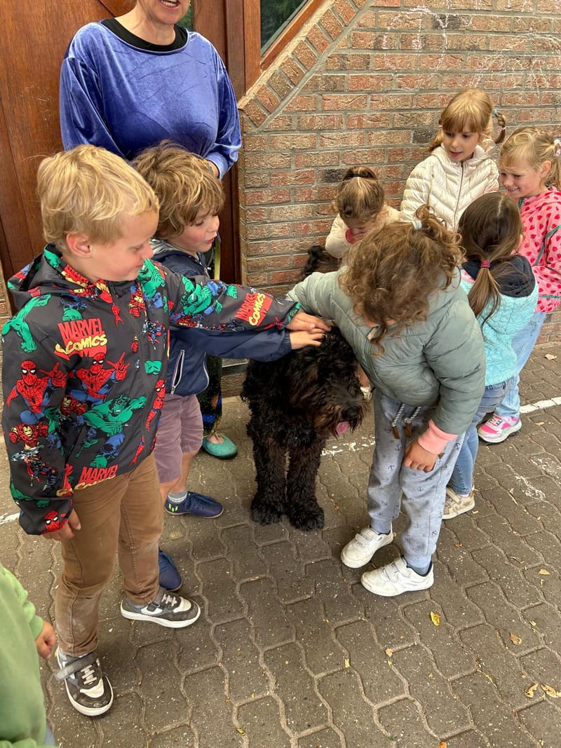 Dierenplezier kamp 1/07/24 - 5/07/24