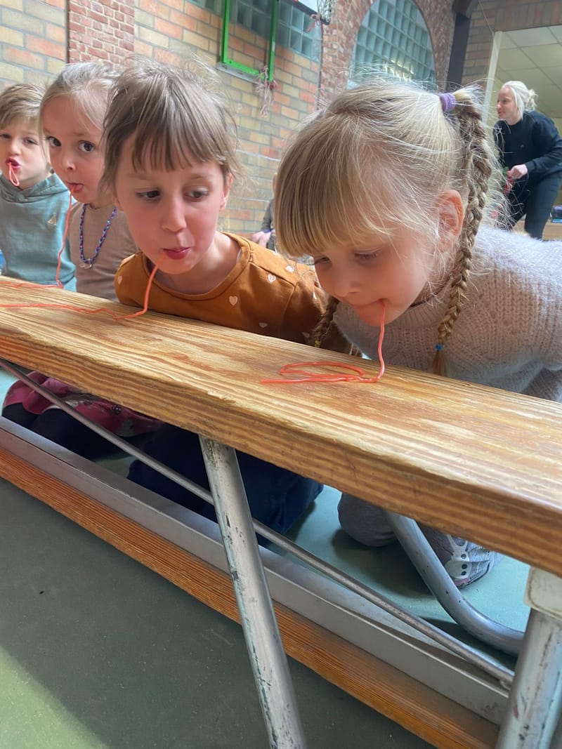 Reis rond de wereld kamp 7/04/2025 - 11/04/2025