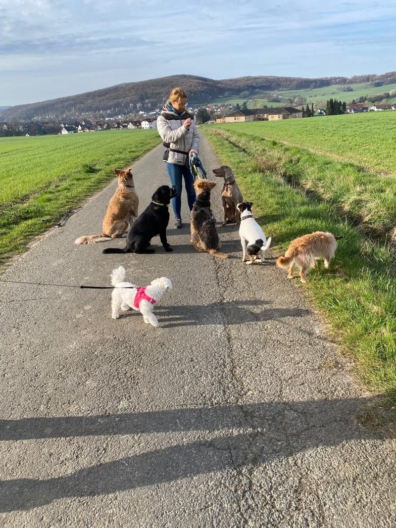 BETREUUNG