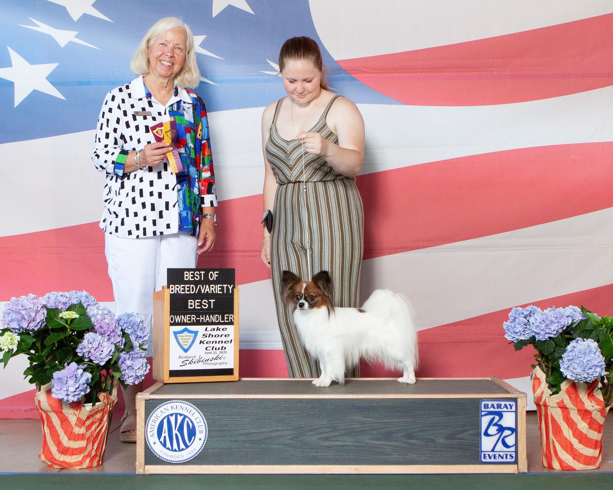 AKC Major Pointed UKC Group Placing Perfect Teddy Bear Dream ATT FDC DCAT CA