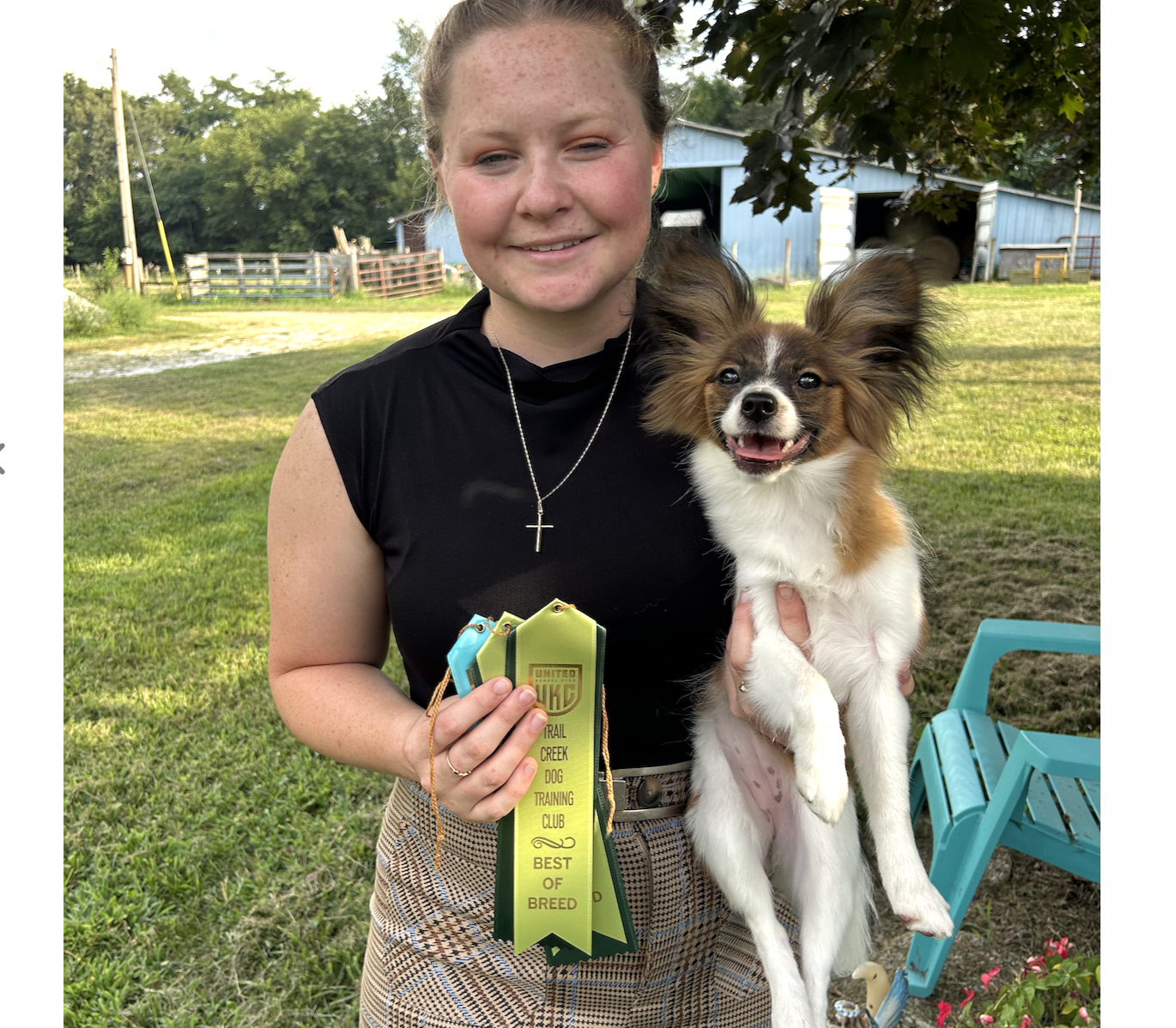 UKC Pointed Edgewater’s Little Dragon TKI VHMP VHMA CGC