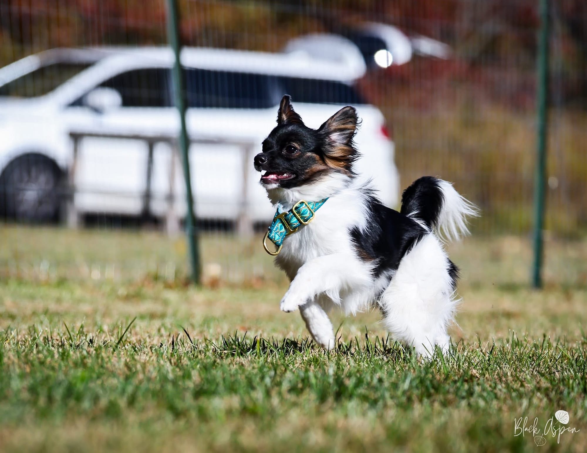 Tano STR (Journey x Fritz 3/12/25)