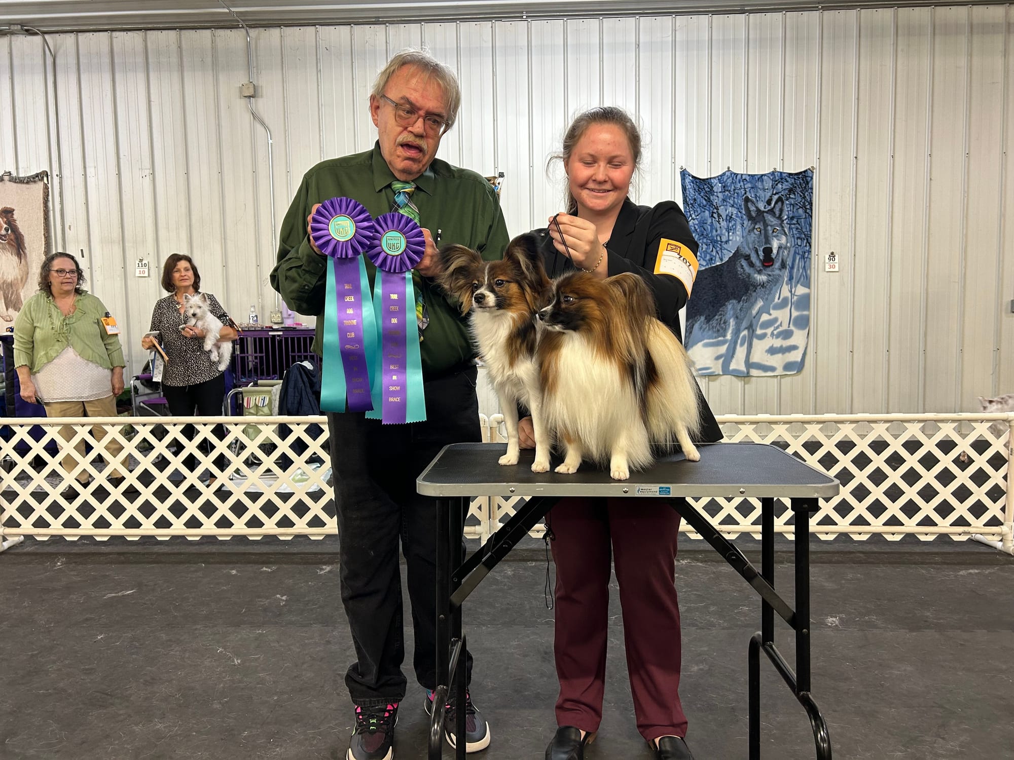 UKC/AKC Pointed Edgewater’s Little Dragon TKI VHMP VHMA CGC