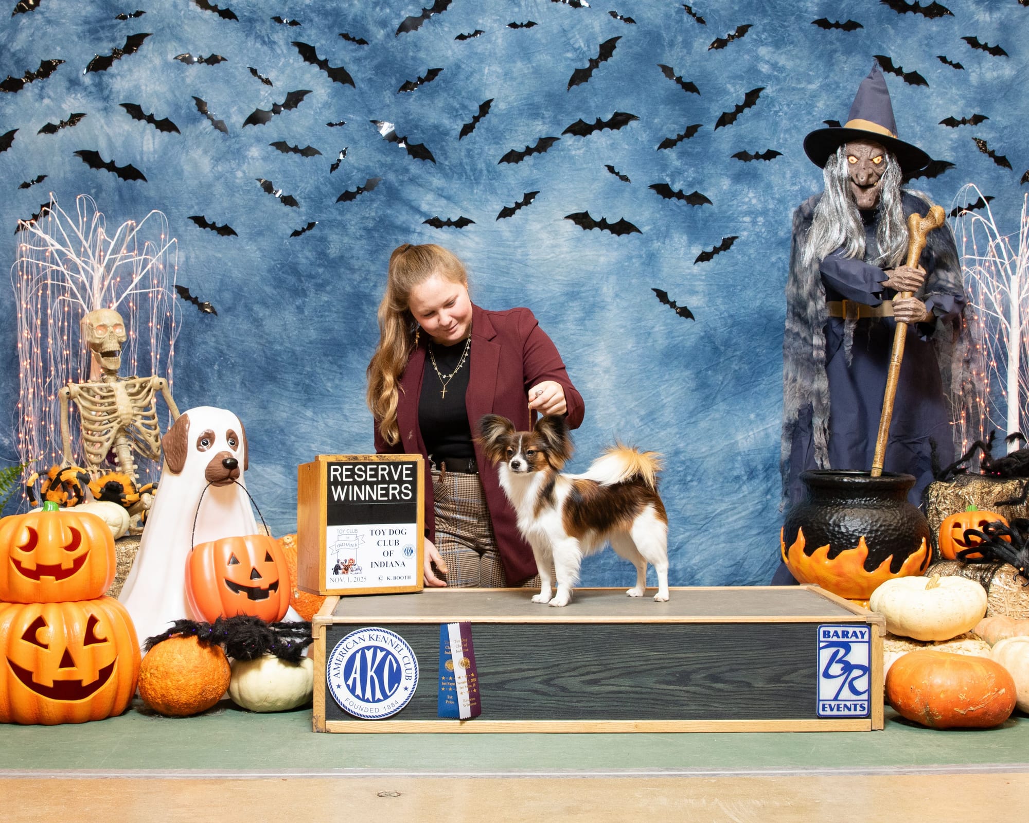 UKC/AKC Pointed Edgewater’s Little Dragon TKI VHMP VHMA CGC