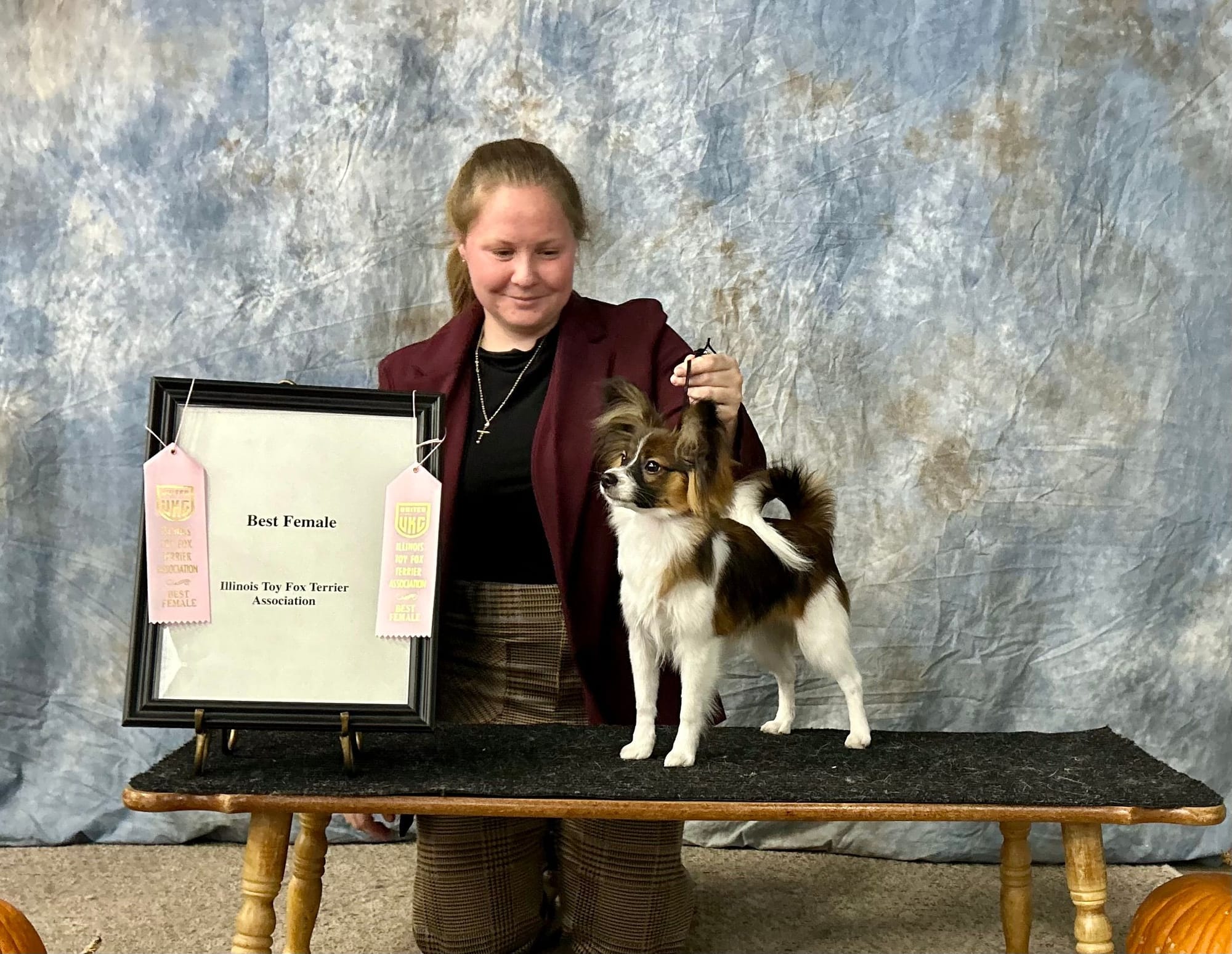 UKC/AKC Pointed Edgewater’s Little Dragon TKI VHMP VHMA CGC VSWB