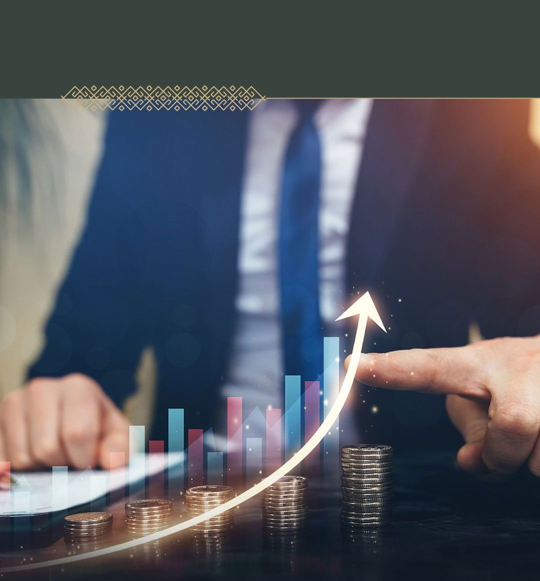 تنظيم الاستثمار الجريء