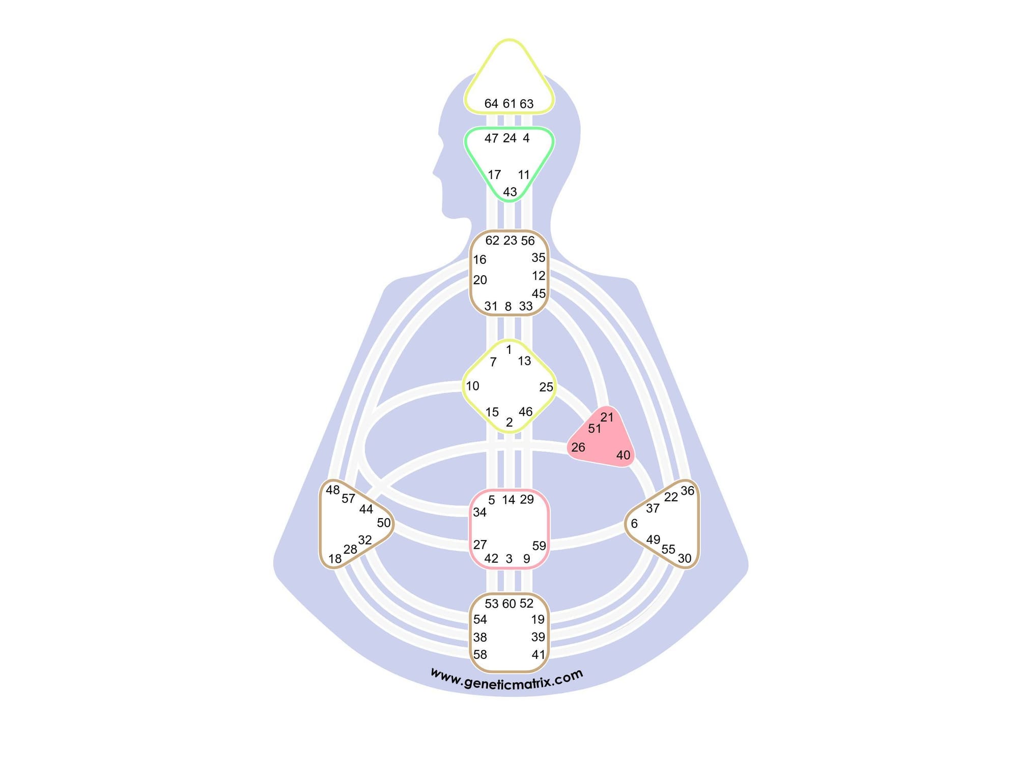 The Defined Will Center in Human Design - "Where there is a will, there is a way"