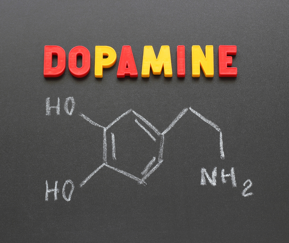 Unveiling the Mysteries of Dopamine: Your Brain's Ultimate Motivator