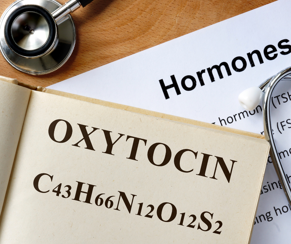 Embracing the Warmth of Oxytocin: The Love Hormone