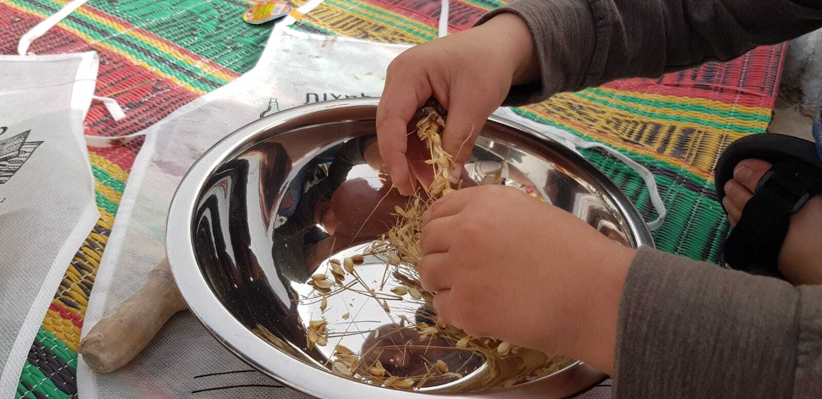 בסדנא נחווה את תהליך אפיית המצה ממש מהקצירה ועד האפייה. בסדנא נעבוד עם כלים עתיקים ואותנטיים. כל משתתף יקבל עומר חיטים ובכוחות משותפים עם חבריו יוציא גרעיני חיטה מהשיבולת יטחן ילוש ויאפה מצה משלו. חוויה בלתי נשכחת.