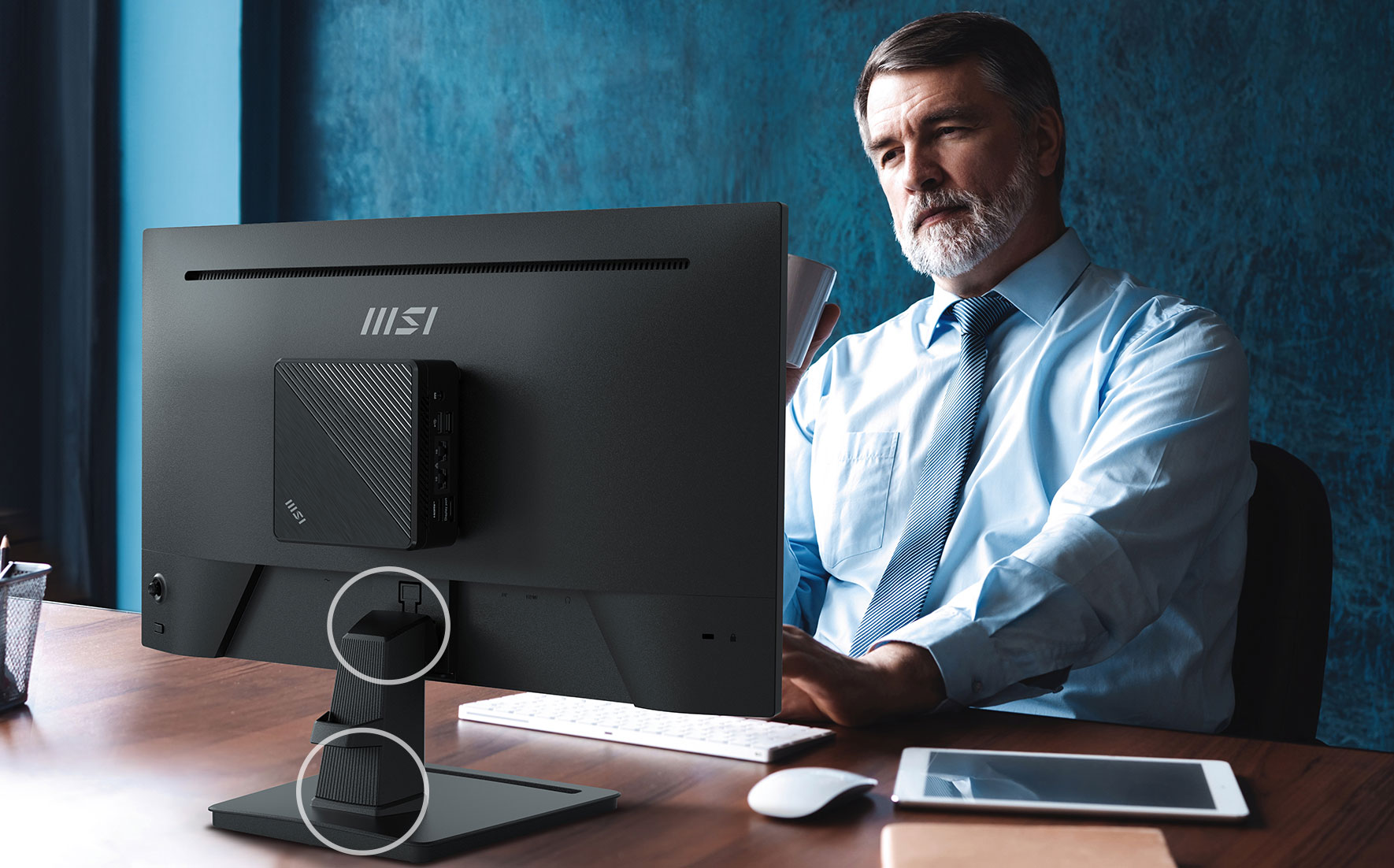 PRO MP252 | Professional Business Monitor for Work and Home | MSI