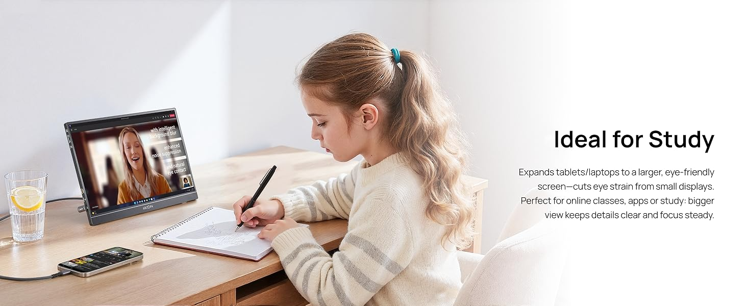 Z1C 16.1" 100% sRGB Kickstand Portable Monitor