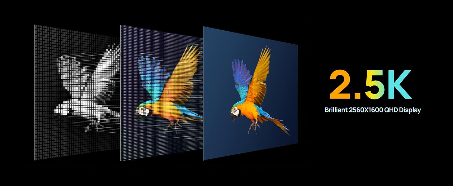 2.5 K Portable monitor