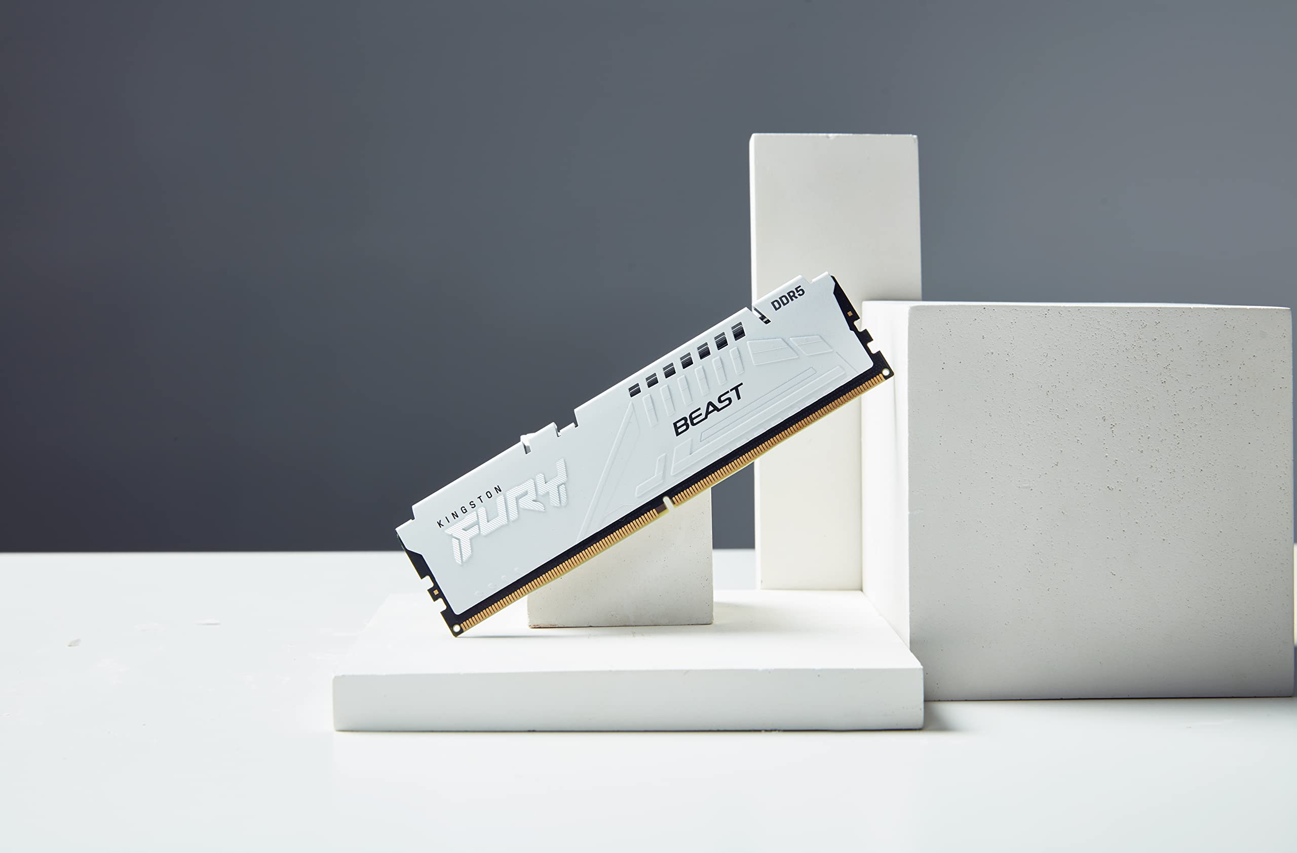 Kingston FURY Beast DDR5 16Go 5600MT/s CL40 Blanc Module Simple