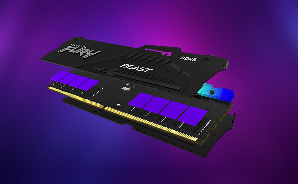 Kingston FURY Beast RGB 8GB (1 x 8GB) 5600MHz DDR5 Desktop Memory Infrared  Sync Technology | CityCenter