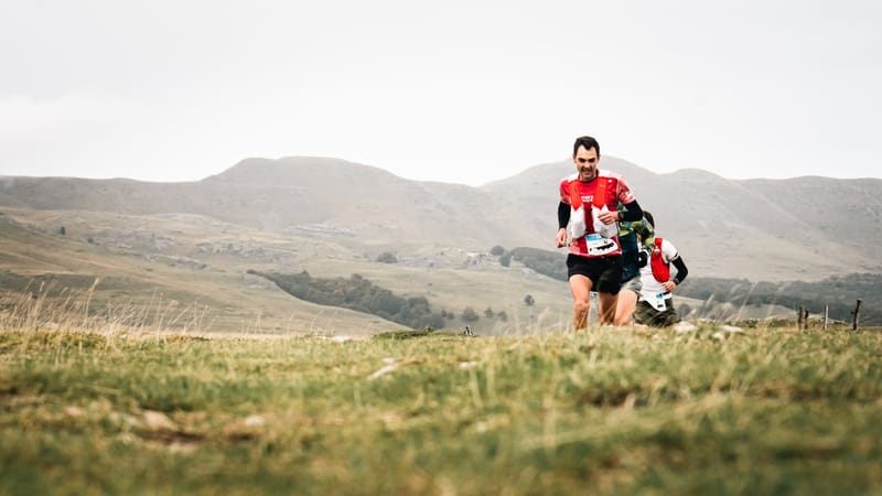 LE MAQUISARD - 11km / 400m D+