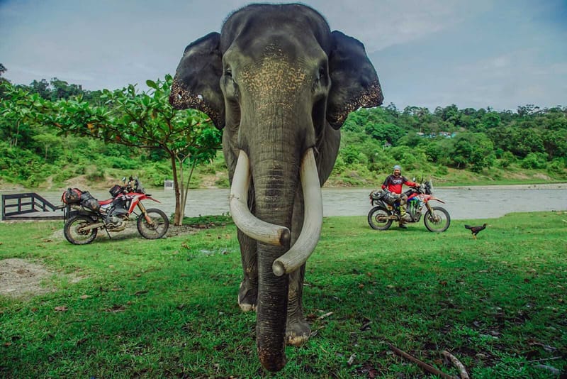 SUMATRA MAX 11 DAYS ADVENTURE TIGER LAND (Reschedule)