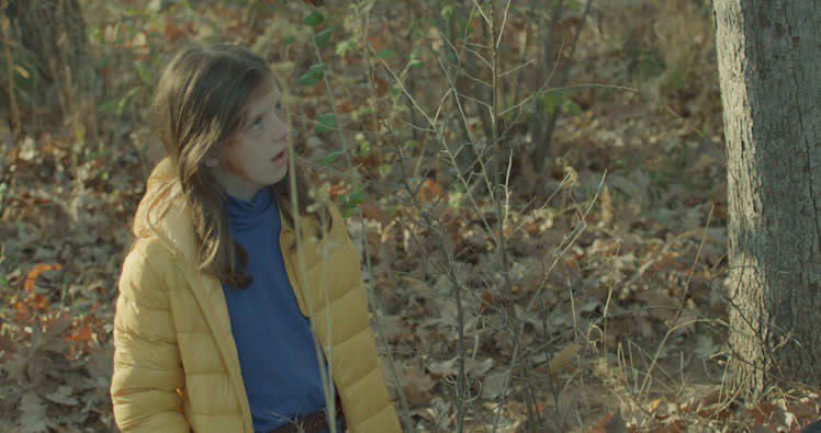 Sunshine in the Forest