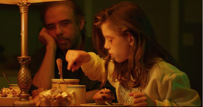 Sunshine in the Forest