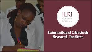 Internship Opportunity at ILRI