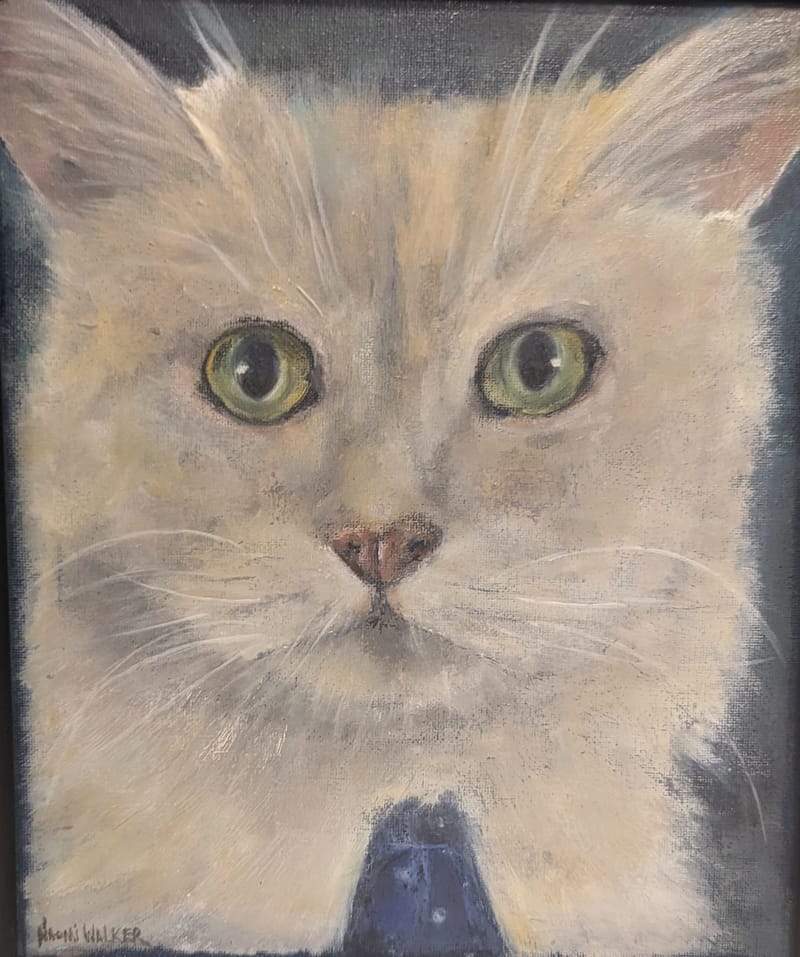 'Here's looking at you kid!'