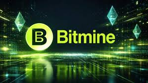 BitMine