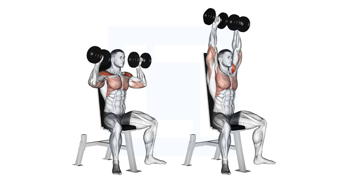 Seated Dumbbell Shoulder Press