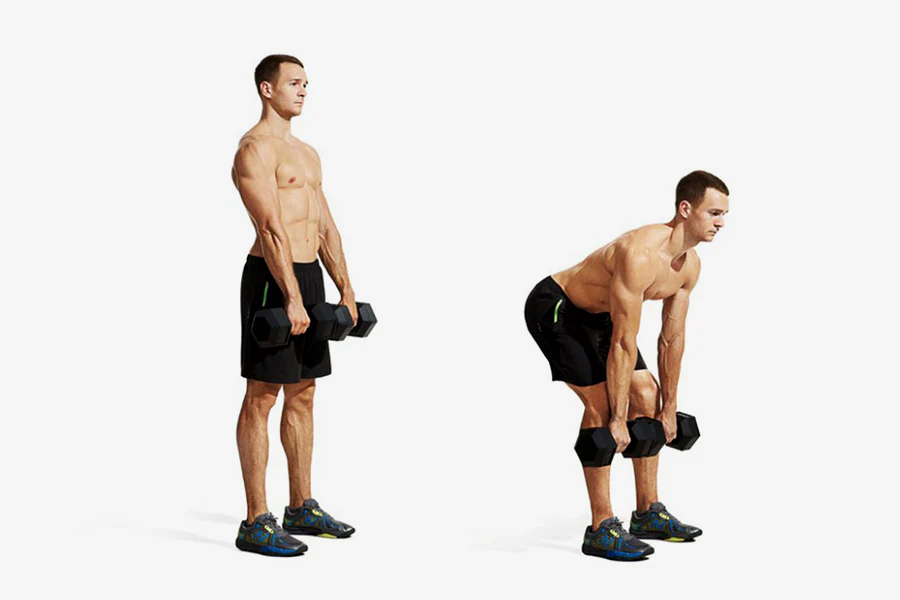 Dumbbell Deadlift