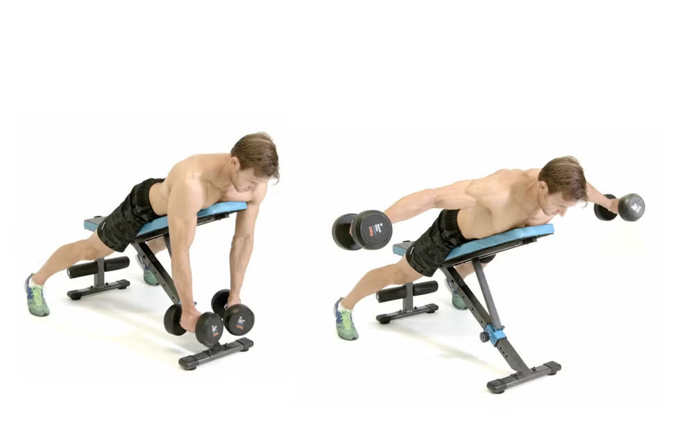 Dumbbell Rear Delt Fly