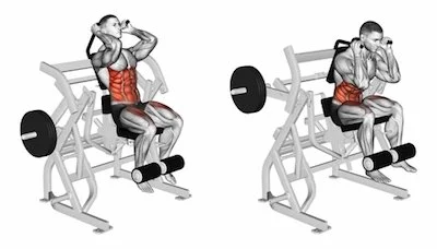 Ab Crunch Machine