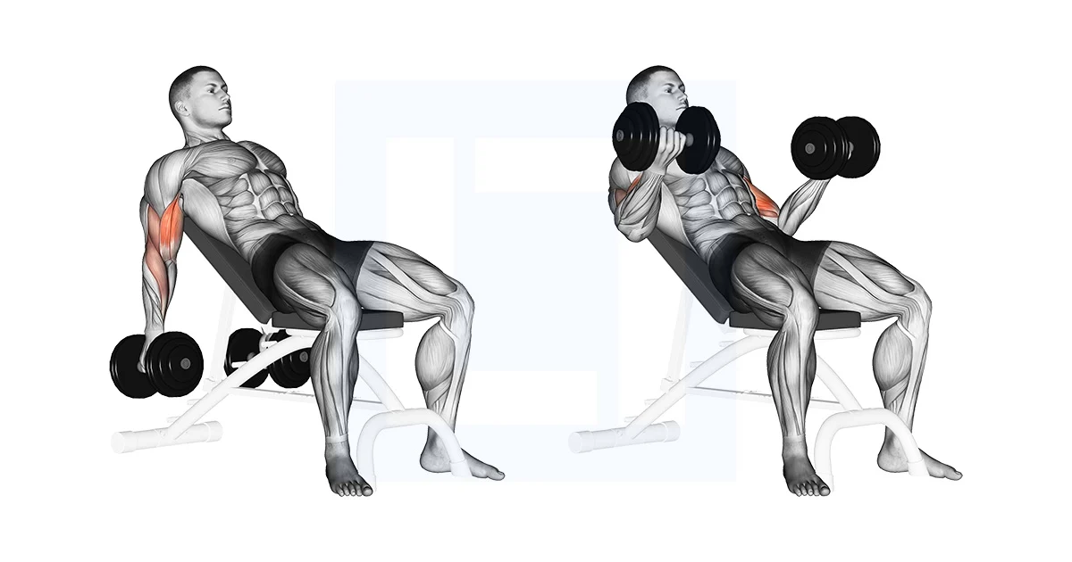 Incline Dumbbell Curl